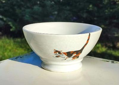 Bol petit déjeuner porcelaine émaillée motifs chats