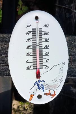 Petit thermomètre émail à l'ancienne décor Oies ovale Arémail Emalia