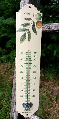 Thermomètre extérieur émaillé noyer arbre noix 30 cm Ar émail Emalia