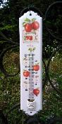 Thermomètre extérieur décoratif Fruits premier prix Mélamine 30 cm