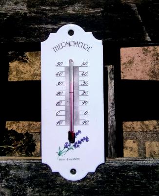 Petit thermomètre émaillé brin de lavande thermomètre extérieur décoratif 