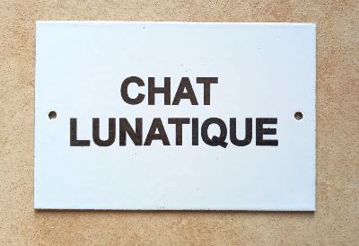 Plaque humoristique émaillée Chat lunatique 10 x15 cm