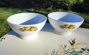 Bol �mail citrons porcelaine Pillivuyt cr�ation 100% made in France par 2