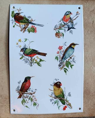 Plaque émaillée décorative oiseaux colorés émail et cetera