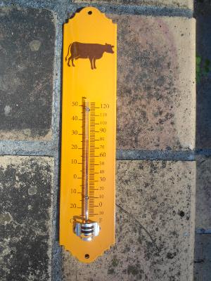Thermomètre orange métal émaillé décor Vache jardin Maison