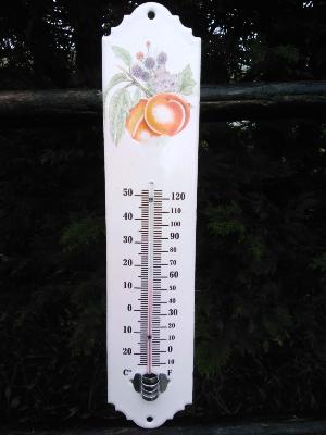 Thermomètre extérieur émaillé Fruits bouquet: thermomètre émail idéal au jardin 30 cm
