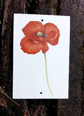 Plaque émaillée décorative coquelicot fleur coupée émail et cetera