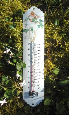 Thermomètre extérieur émaillé décoratif Plantes fleurs roses 30 cm