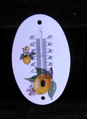 Petit thermomètre émaillé motif citron Provence thermomètre extérieur décoratif 