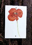 Plaque maille dcorative coquelicot fleur coupe mail et cetera