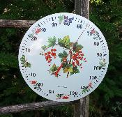 Thermomètre émaillé rond fruits rouges baies, thermomètre à aiguille