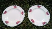 2 assiettes dessert cerises deco Armail Emalia made in France