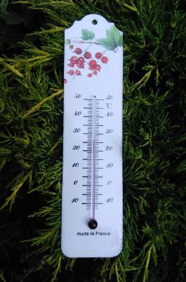 Thermomètre extérieur émaillé fruits rouges, thermomètre émail déco jardin 
