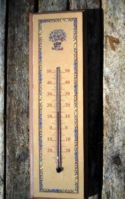 Thermomètre bois fruits frise: thermomètre bois décor arbre à fruits 30 cm