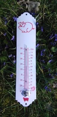 Thermomètre extérieur émaillé décoratif Cochon thermomètre émail déco 30 cm