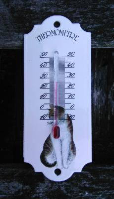 Thermomètre extérieur émaillé motif chat assis 13 cm 