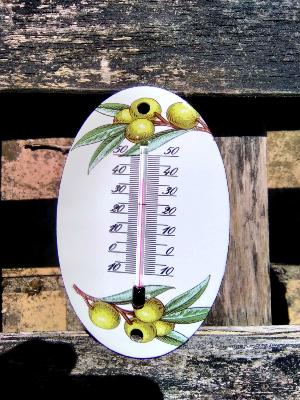 Petit thermomètre émaillé olives vertes thermomètre extérieur décoratif 