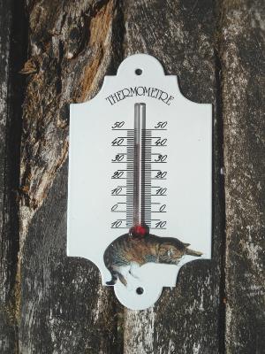 Thermomètre émaillé décoratif Rétro Chat qui dort, thermomètre émail jardin maison