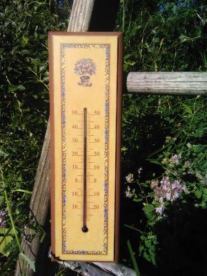 Thermomètre bois fruits frise: thermomètre bois décor arbre à fruits 30 cm
