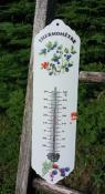 Thermomtre maill dcoratif 35 cm Baies groseilles thermomtre extrieur intrieur