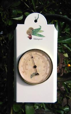 Thermomètre émaillé motif feuille fruit châtaignier made in France mouvement Barostar