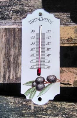 Petit thermomètre émaillé olives noires thermomètre extérieur décoratif 