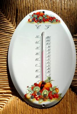 Grand thermomètre émaillé fruits ovale Arémail Emalia extérieur intérieur