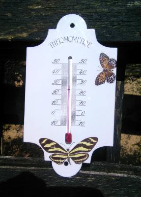 Thermomètre émaillé ovale papillons thermomètre extérieur décoratif 