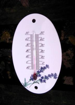Petit thermomètre émaillé motif fleur thermomètre extérieur décoratif 