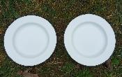 Assiette émaillée blanches vaisselle émaillée sobre et élégante lot de 2