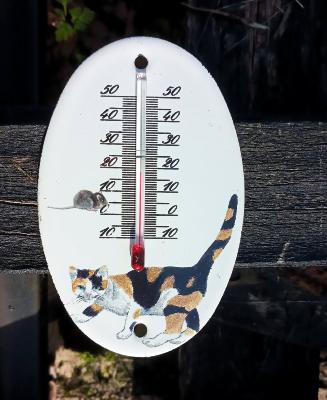 Petit thermomètre émaillé motif chat 100% made in France 
