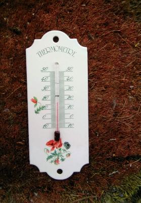 Petit thermomètre émaillé dessin de coquelicot thermomètre extérieur décoratif 