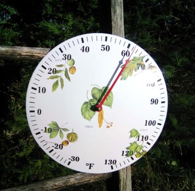 Thermomètre émaillé rond bombé feuilles et fruits, thermomètre à aiguille