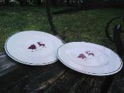 Assiette dessert dco montagne Armail Emalia made in France lot de 2