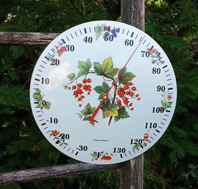 Thermomètre émaillé rond fruits rouges baies, thermomètre à aiguille