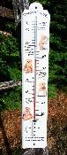 Grand Thermomètre extérieur émaillé nounours jardin maison 50 cm