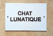 Plaque humoristique maille Chat lunatique 10 x15 cm