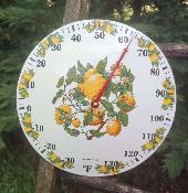 Thermomtre maill rond bomb motif citron thermomtre  aiguille