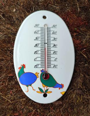 Thermomètre extérieur émaillé ovale poules Arémail Emalia premier prix
