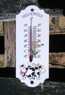 Petit thermomètre émaillé motif vache thermomètre extérieur décoratif 