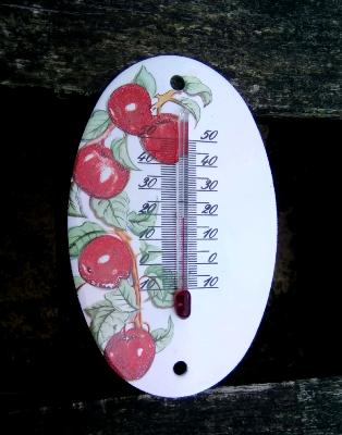 Thermomètre émaillé ovale bouquet de fruits thermomètre extérieur décoratif 