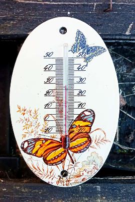 Petit thermomètre émaillé déco papillons thermomètre extérieur décoratif 