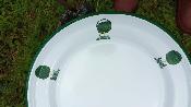 Plat émaillé assiette émaillée décor jardin 28 cm vaisselle émaillée