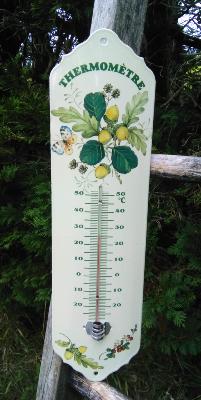 Grand Thermomètre extérieur décoratif émaillé fruits: thermomètre émail idéal jardin 35 cm