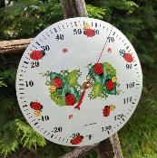 Thermomètre émaillé rond bombé Coccinelles: thermomètre décoratif en émail