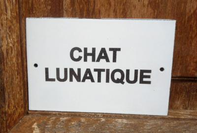Plaque humoristique émaillée Chat lunatique 10 x15 cm