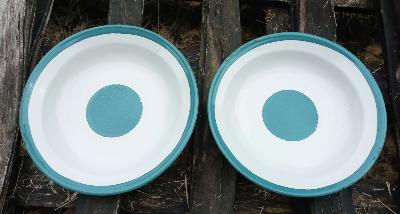 2 assiettes émaillées pique-nique bleues création originale Arémail Emalia 