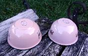Bol émail animaux sauvages vaisselle émaillée incassable lot de 2