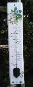 Thermomtre jardin maill Fruits Fleurs extrieur dcoratif 50 cm