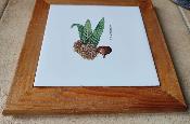 Dessous de plat émaillé feuilles fruit châtaignier accessoire déco cuisine